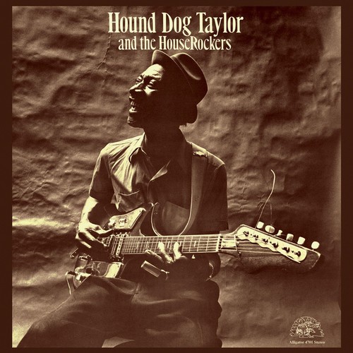 Hound dog taylor - dog,
