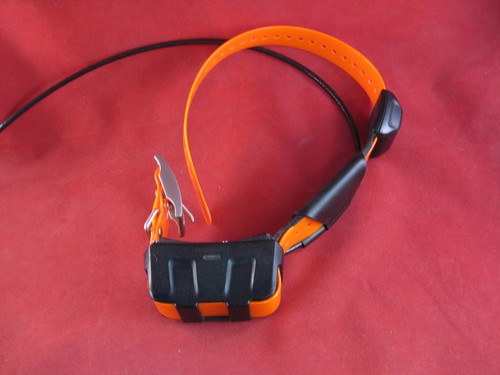 Garmin dc50 gps dog tracking - garmin,
