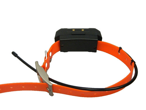 Garmin dc40 gps dog - dc40,
